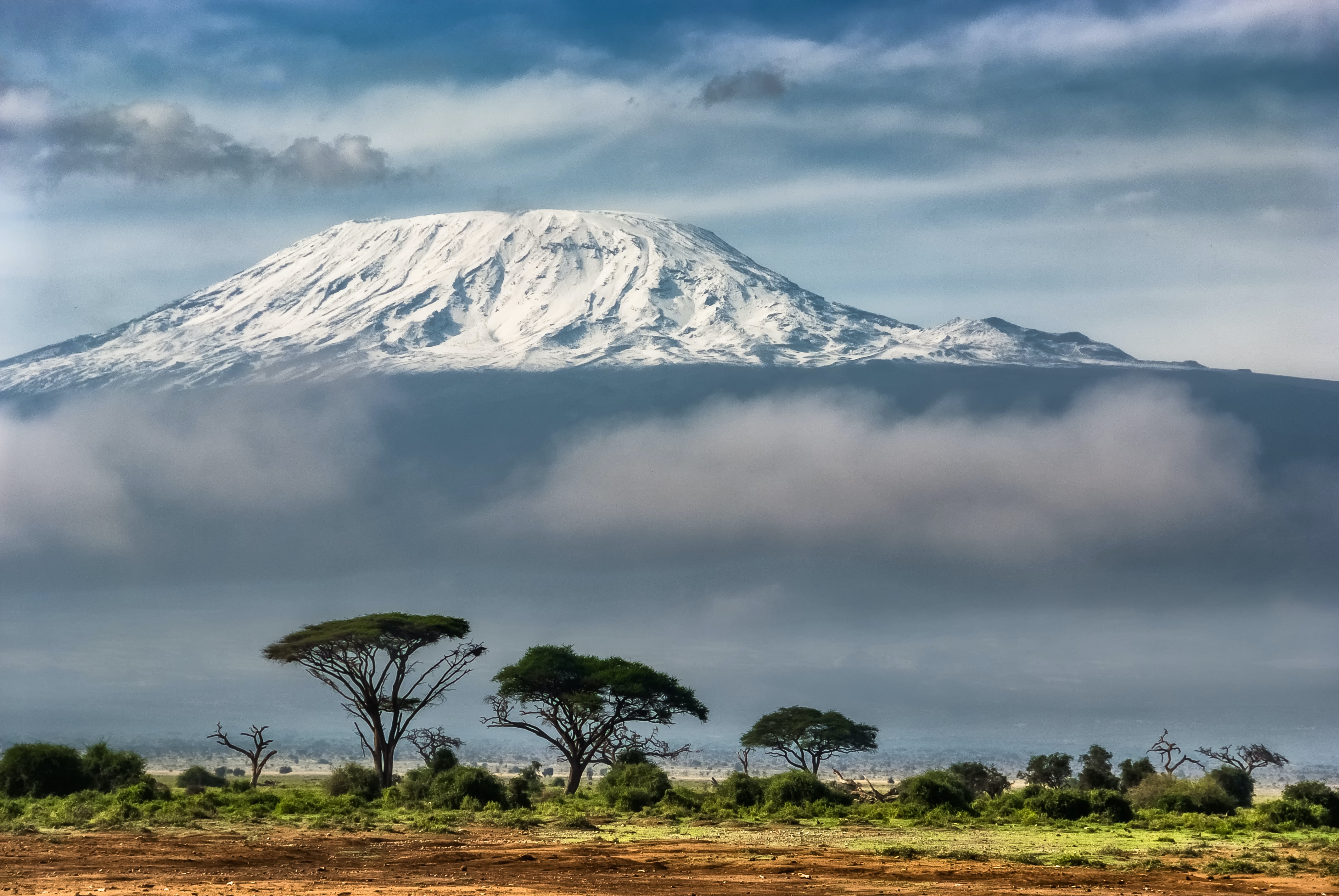 African Spotless
