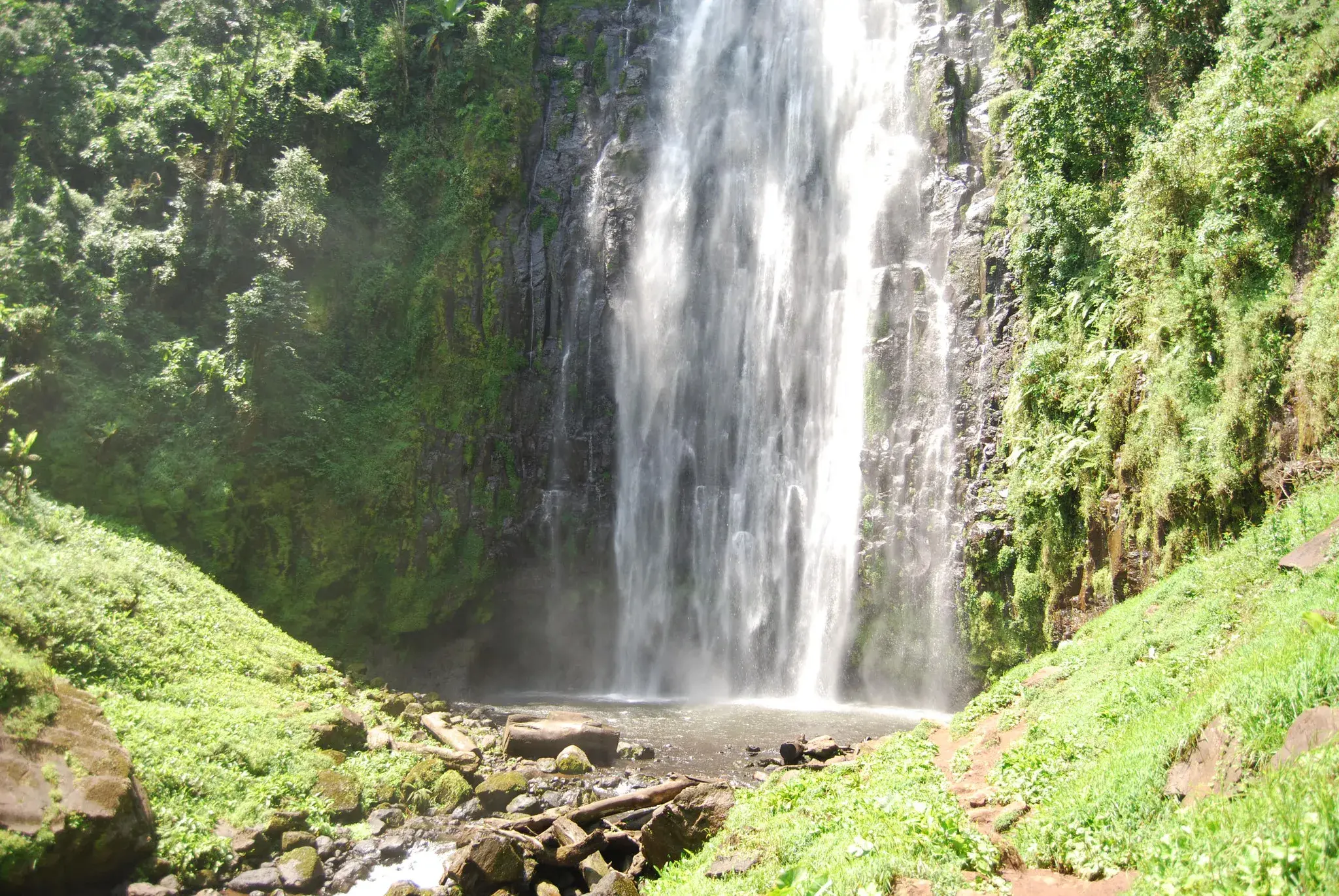 African Spotless