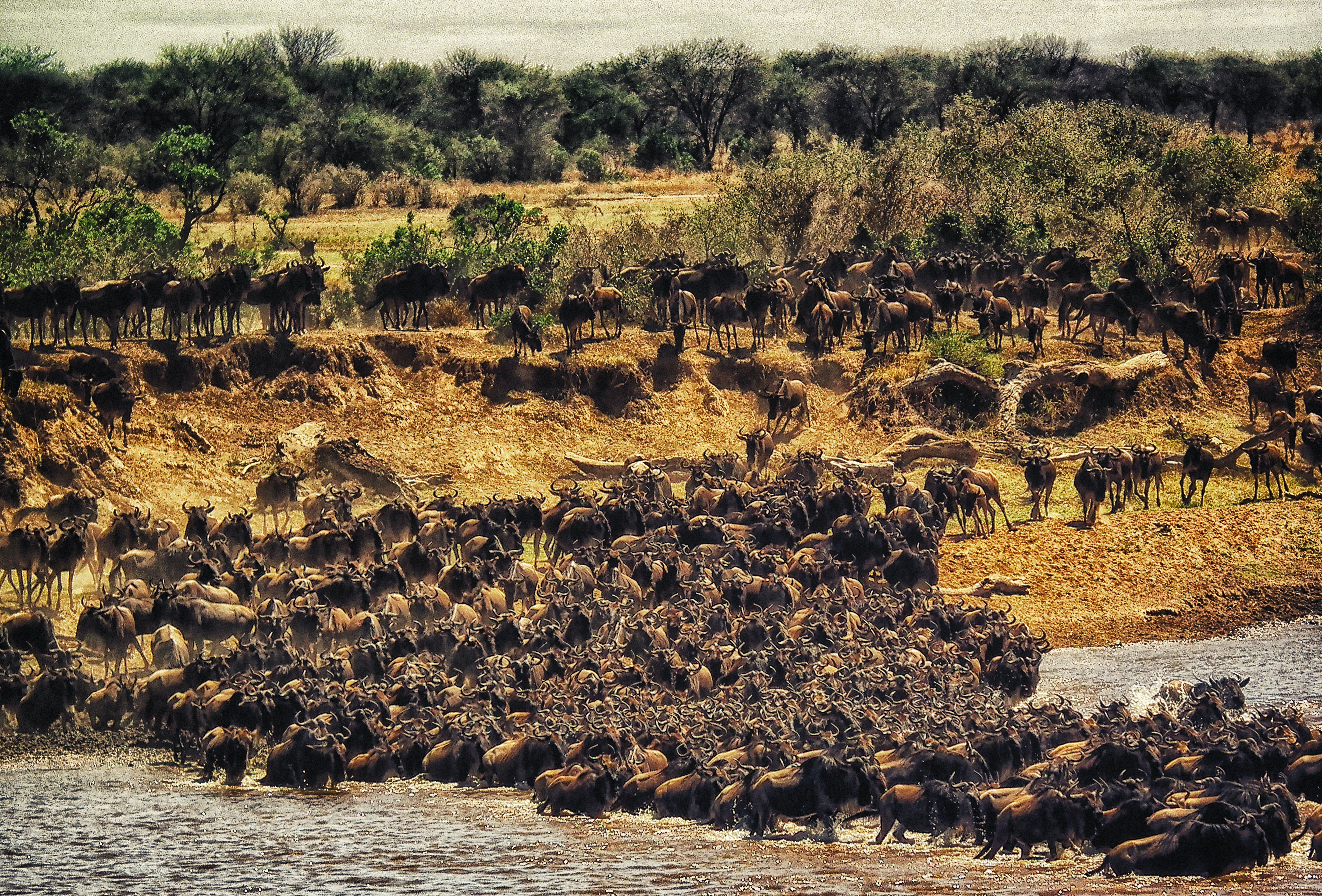 African Spotless Adventures